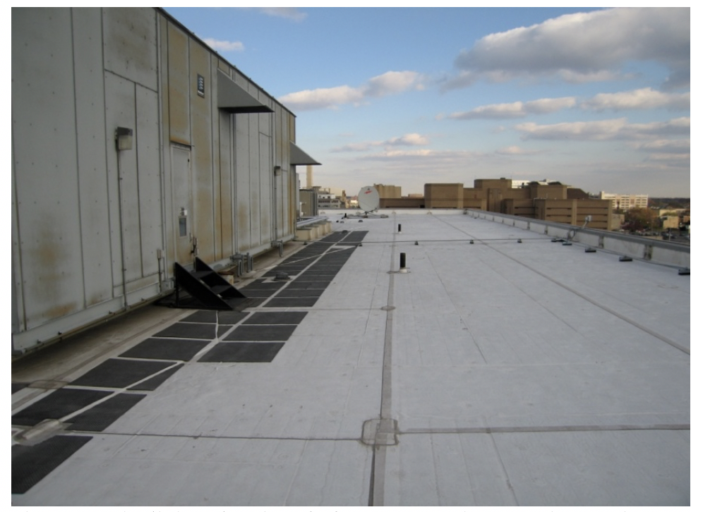 Figure 2 - The light-colored roof of the EDA Tech Center in Camden, NJ reduces the urban heat island effect and lowers summer cooling loads. (Source: Clint Andrews, Rutgers Center for Green Building). 