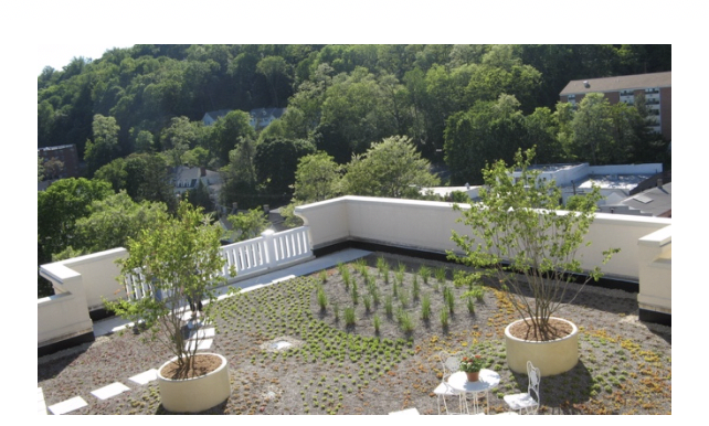 Figure 2 - The Geraldine R. Dodge Foundation headquarters green roof in Morristown, NJ (Source: Wild New Jersey)