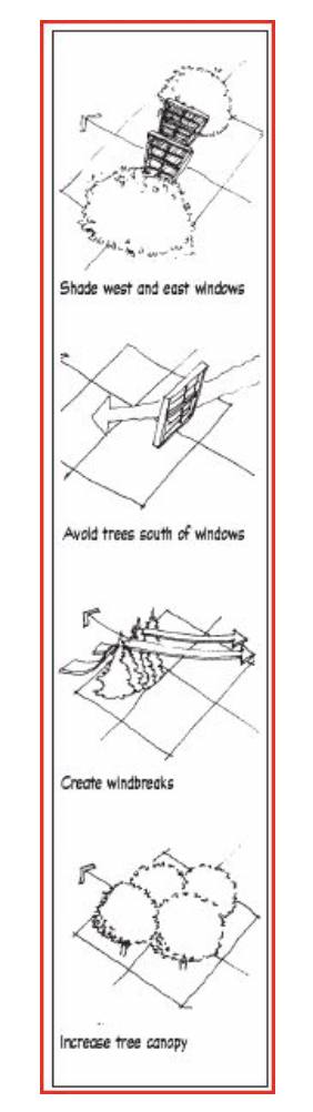 Figure 1- Strategic Tree Placement (Source: Minnesota Department of Commerce Energy Information Center)