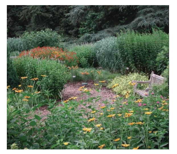 Figure 1 – An example of non-lawn outdoor space (Source: Ithaca College).
