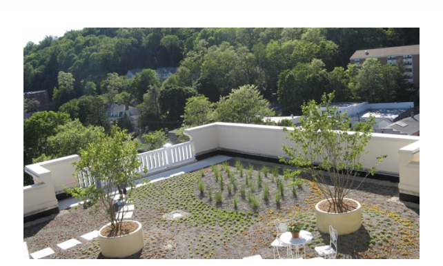 The Geraldine R. Dodge Foundation headquarters green roof in Morristown, NJ (Source: Wild New Jersey).