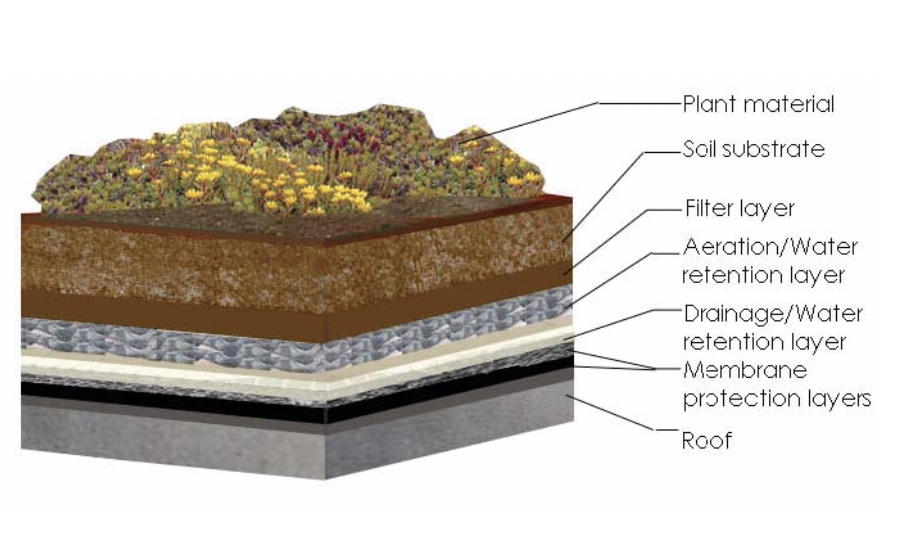 Figure 1: A basic cross-section of a vegetated roof (Source: New York City Department of Design & Construction Cool and Green Roofing Manual).