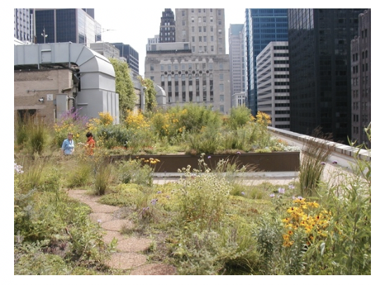 Figure 1 – Chicago City Hall rooftop garden (Source: Flickr)