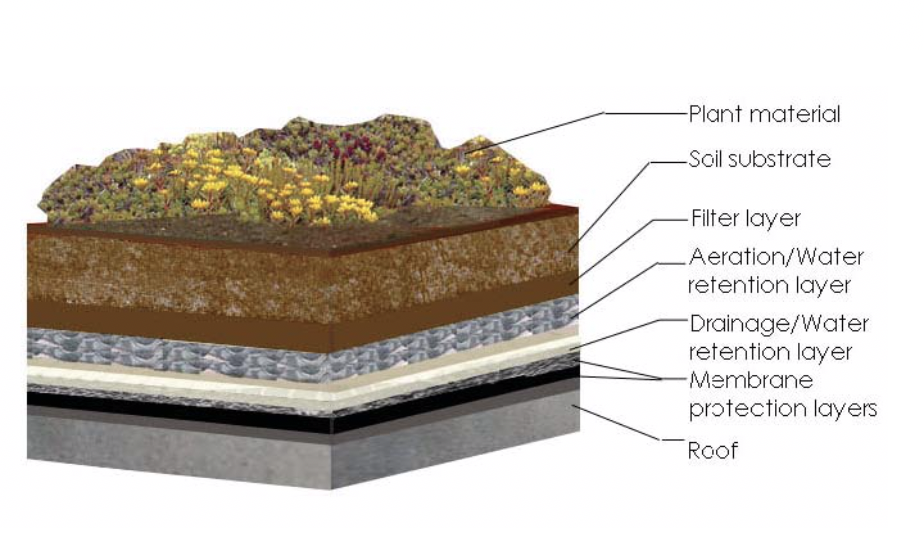 Figure 5 – A cross-section of a vegetated roof (Source: New York City Department of Design & Construction Cool and Green Roofing Manual)