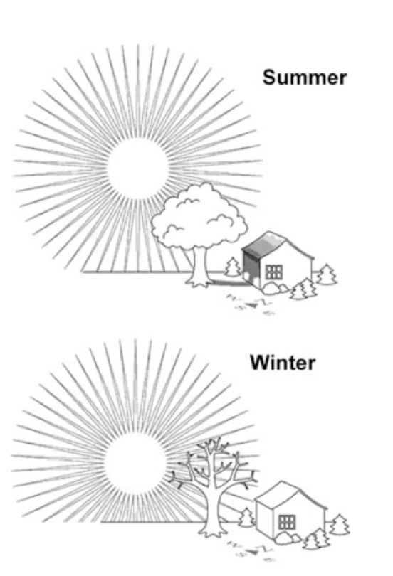 Figure 1: Tree placement for energy-efficiency (Source: The Morton Arboretum)