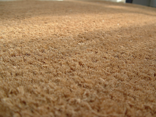 Figure 1- Doormat (Source: Flickr Adam Mulligan http://www.flickr.com/photos/amulligan/175739762/)
