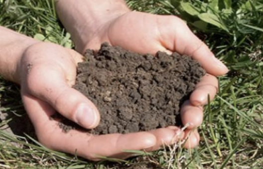 Figure 1 – Soil (Source: University of Kentucky Agricultural Extension)
